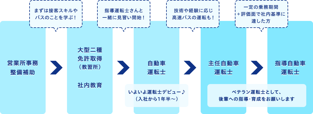 養成バス運転士キャリアパス